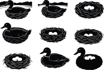 Duck and nest silhouette set showing egg-filled shelters, water scenes, sitting ducks, wildlife behavior, and nature-inspired avian compositions.