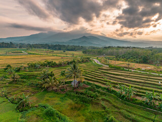 Obraz premium Beautiful morning view indonesia Panorama Landscape paddy fields with beauty color and sky natural light