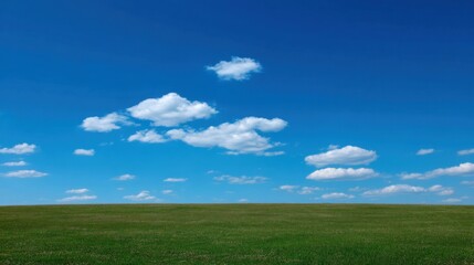 Fototapeta premium Vast Green Field Under Clear Blue Sky with Fluffy Clouds and Bright Sunshine, Perfect for Nature and Landscape Photography