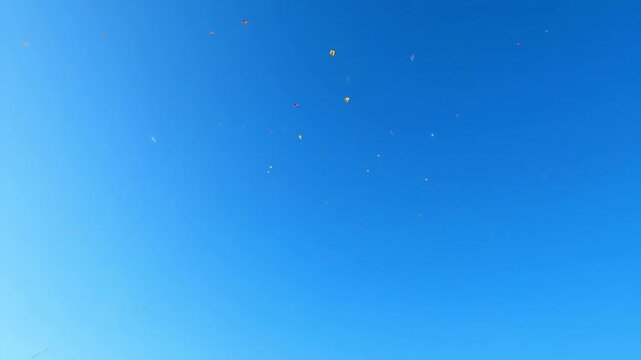 Numerous colorful kites dance and fly in the bright blue sky, with the tips of green trees visible at the bottom edge.