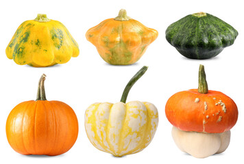 Fresh pumpkins and pattypan squashes isolated on white, set. Vegetables of gourd family