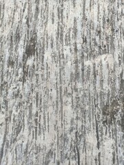 Obraz premium snow covered tree