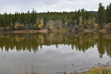 reflection of trees in the lake
