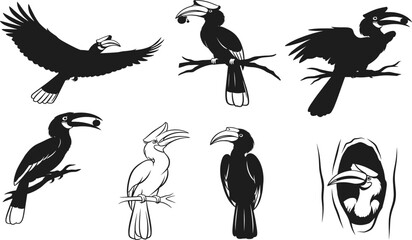 Hornbill bird vector set showing flight, perched, feeding, nesting, and detailed casque poses in black and white wildlife style © MdMeherul