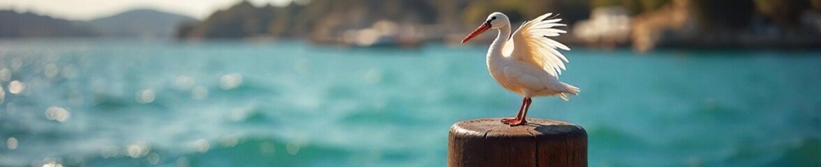 Sunlight Dapples Delicate Feathers Artfully Arranged on a Pier Post, Contrasting Textures and Natural Beauty at the Waterfront