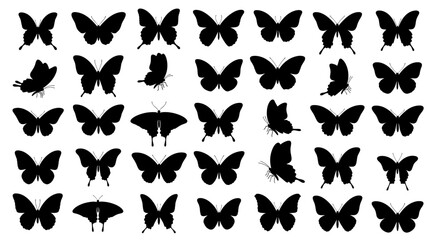 Obraz premium A stunning collection of diverse butterfly silhouettes showcasing various graceful poses.