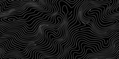 Obraz premium Abstract black and white topographic map contour lines background pattern