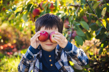 Playful boy holding two apples over his eyes while sitting in an orchard on a sunny autumn day