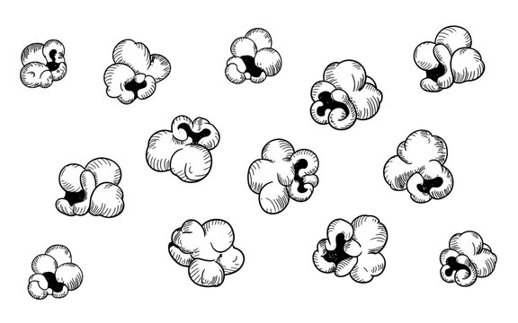 black and white sketch of multiple popped popcorn kernels scattered, snack food drawing for design or packaging.