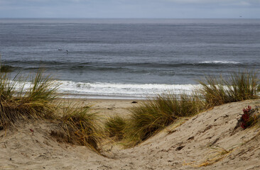 View Of Sand Path Through Sea Grass To Beach