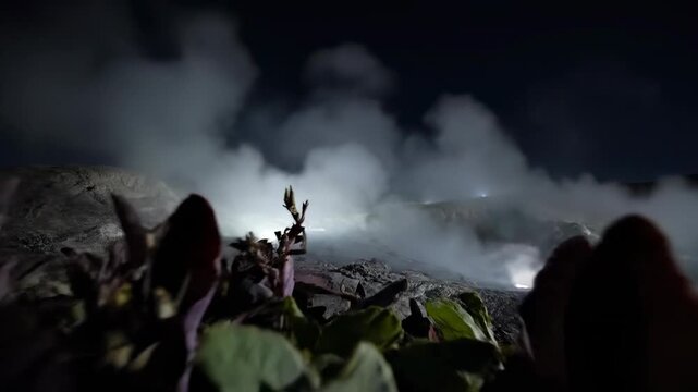 Mysterious slow dolly shot through a geothermal ecosystem, steam rising from vents and unique, hardy plant life clinging to volcanic rock at dusk landscape, geothermal ecosystem, science