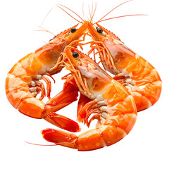 Three cooked shrimp in a semi-circular arrangement, isolated on a black background