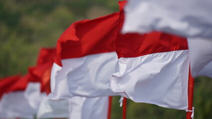 A long, staggered line of Indonesian flags (Merah Putih) waving under a clear sky with a lush green...