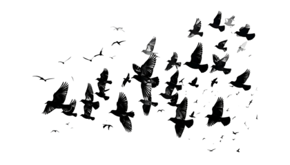 A textured black brushstroke-like cluster with subtle shades and highlights against a void