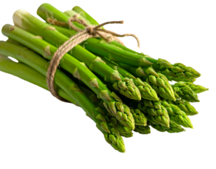 A fresh bundle of green asparagus tied with twine on a dark background
