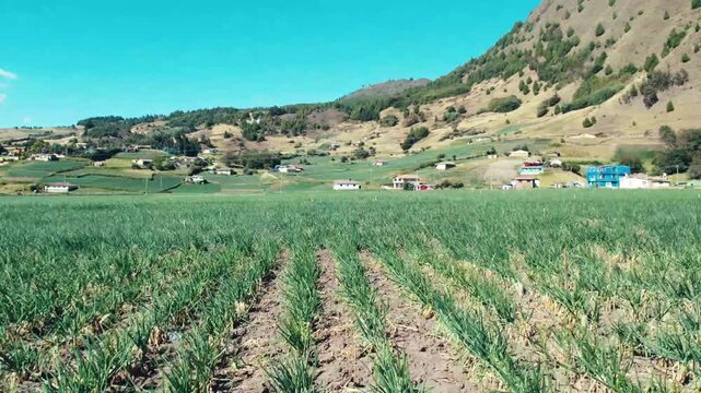 Paisajes colombianos de los paramos, laguna de Tota y monta&ntilde;as