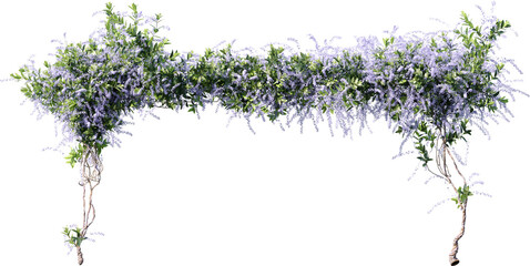 tree, isolated, plant, nature, leaf, branch, white, leaves, flower, spring, herb, foliage, summer, environment, garden, growing, grass, wood, season, nobody, stem, 3d, heather