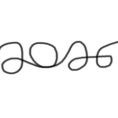 Fototapeta premium 2026 written in rope form