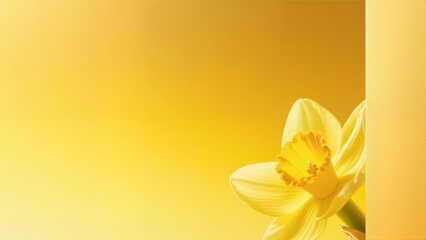 Close-up of a yellow daffodil flower against a warm golden background