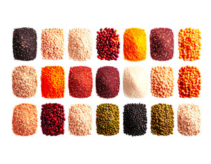 Ultra-detailed educational chart showing grains and seeds used in global cuisine