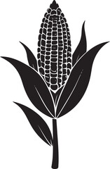  Harvest Corn Silhouette Vector Illustration