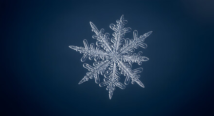 Captivating macro shot of a single, perfectly formed real snowflake against a deep dark blue background