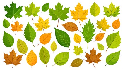 Various colorful, stylized leaves displayed on a plain white background