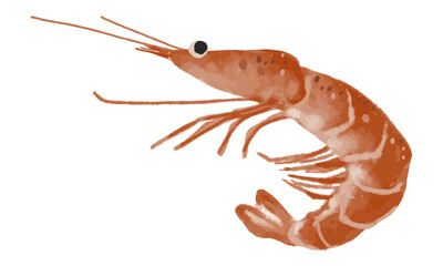 ゆるい水彩タッチの海老（えび）