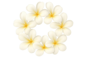 Naklejka premium Plumeria flowers wreath creating a tropical floral frame, isolated on transparent background, for summer design and decoration
