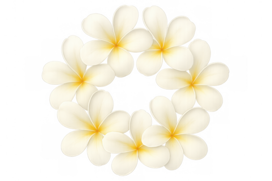 Plumeria flowers wreath creating a tropical floral frame, isolated on transparent background, for summer design and decoration