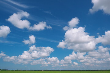 夏空に浮かんだ綿雲