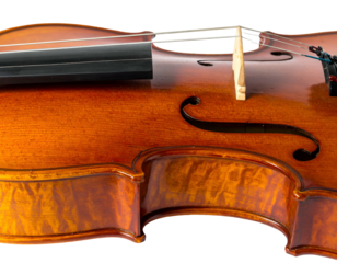 Close-up of a wooden stringed instrument with f-hole and strings