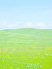 Lush green field under a clear blue sky, creating a serene and peaceful natural landscape