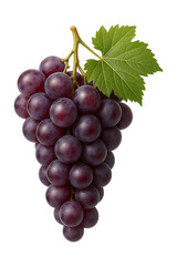 Fototapeta premium Fresh Juicy Purple Grapes with Green Leaf High quality Realistic image.