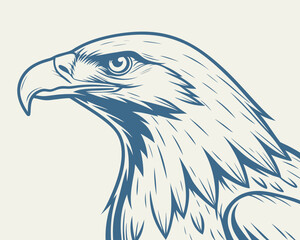 Detailed line drawing of an eagle head