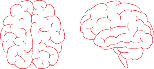 Simple Line Drawings of Human Brain Top and Side Views
