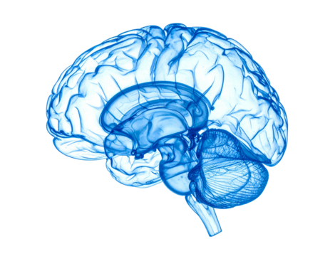 Transparent blue side view of a human brain on a black background
