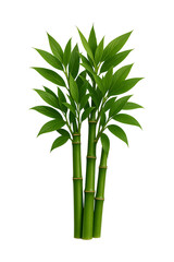 Obraz premium Green Bamboo Shoots with Lush Leaves High quality Realistic image.