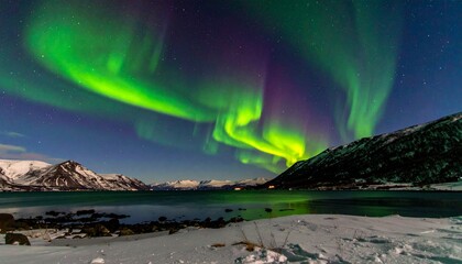 Naklejka premium Aurora Borealis Northern Lights Over Arctic Landscape