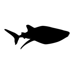 Obraz premium sea animal silhouette whale shark