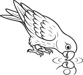 Obraz premium parrot_drinking_water_reflection_vector.eps