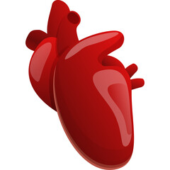Red Cartoon Style Human Heart Icon With Transparent Background Health Medical Concept Isolated Element