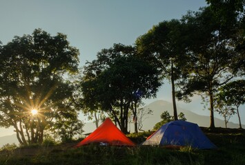 tent in the forest © ridoi