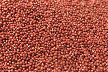 Red Adzuki Beans Dry Pantry Ingredient