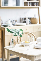 Japanese Home Dining Tableware Minimal Still Life