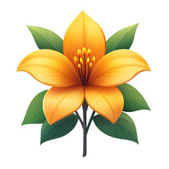 Vibrant orange yellow flower on transparent background