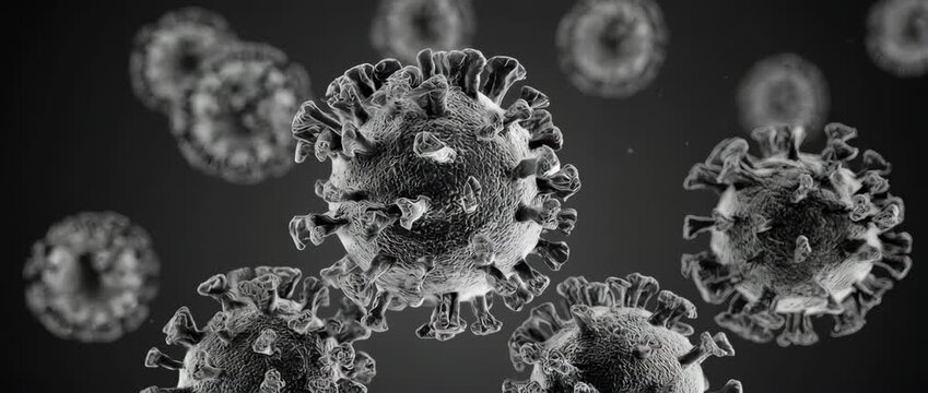 A scientifically accurate, monochromatic animation of viruses. Perfect for a realistic, documentary, or research aesthetic.