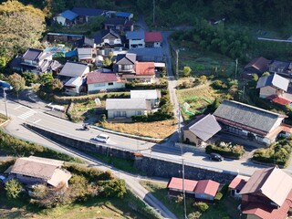 Fototapeta premium A small town with houses and a road. The houses are mostly white and the road is lined with trees