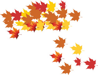 Vector illustration of colorful autumn maple leaves and falling foliage to frame a beautiful October nature scene