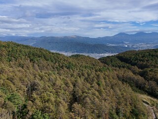 Obraz premium A mountain range with a city in the distance. The trees are brown and the sky is cloudy